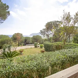 Aparthotel Conti, Lacona
